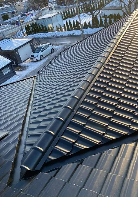 Mørkt metalltak med mønekam og taksikringsutstyr, fotografert med utsikt over boligområde.
